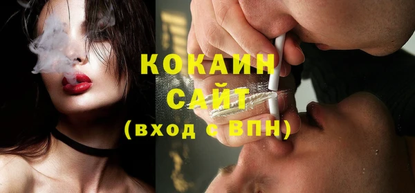 шишки Гусев