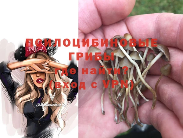 кокаин Гусь-Хрустальный
