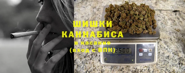 шишки Гусев