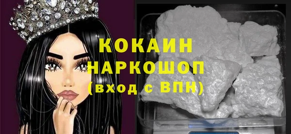 шишки Гусев