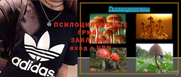 шишки Гусев