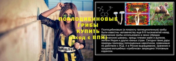 шишки Гусев
