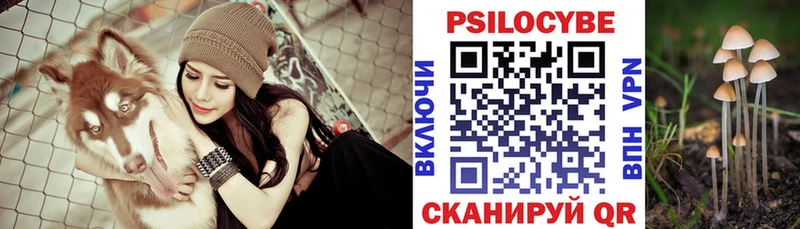 закладки  Кириши  Псилоцибиновые грибы прущие грибы 